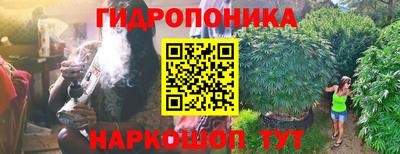 a pvp Пыть-Ях