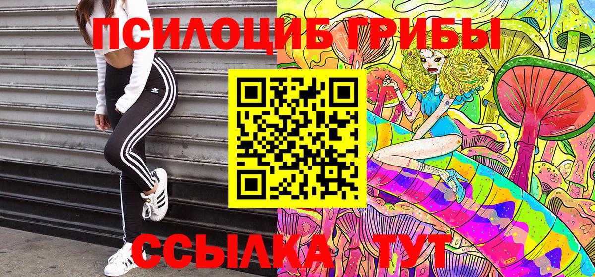 Псилоцибиновые грибы MAGIC MUSHROOMS  Вход с VPN  Псилоцибиновые грибы MAGIC MUSHROOMS  Холмск 